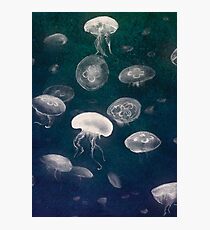 Jellyfish Photographic Print