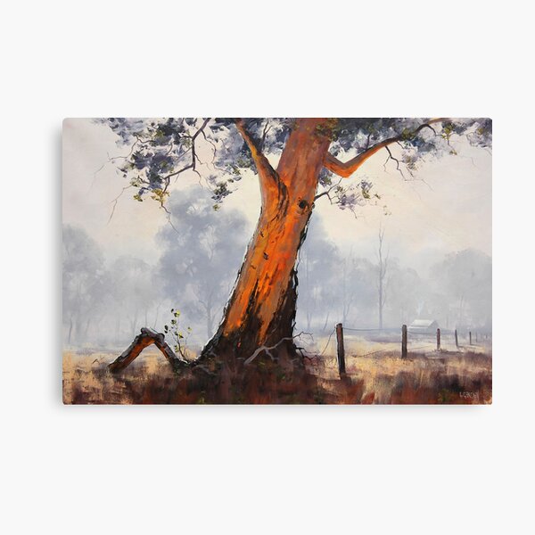 Australian Gum Tree Canvas Print