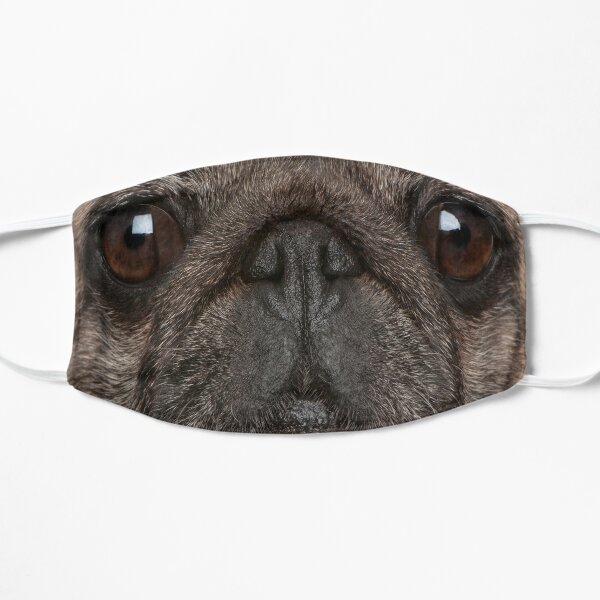 doug the pug stuff