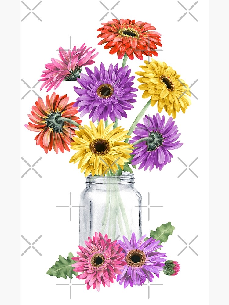 " Watercolor Multicolor Gerbera Daisy Mason Jar" Art Print by