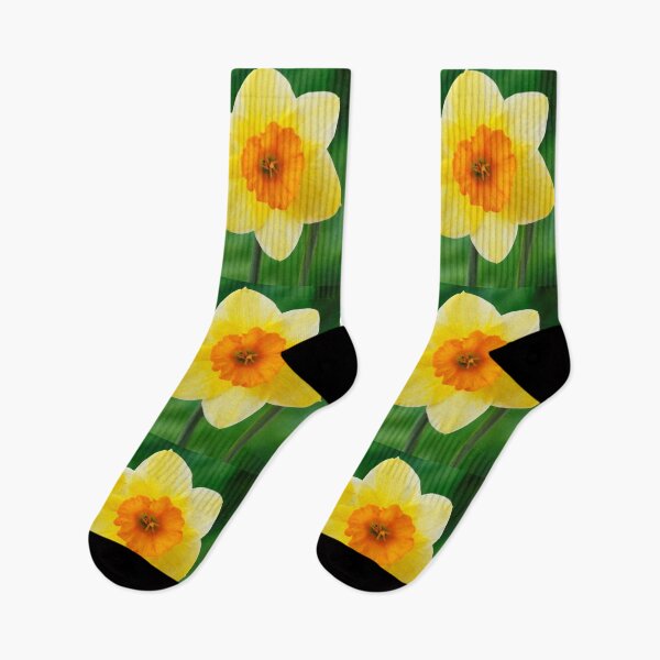 Item preview, Narcissus  'Derringer'  Daffodil  Div. 7  Jonquilla   designed and sold by Chris Burrows.
