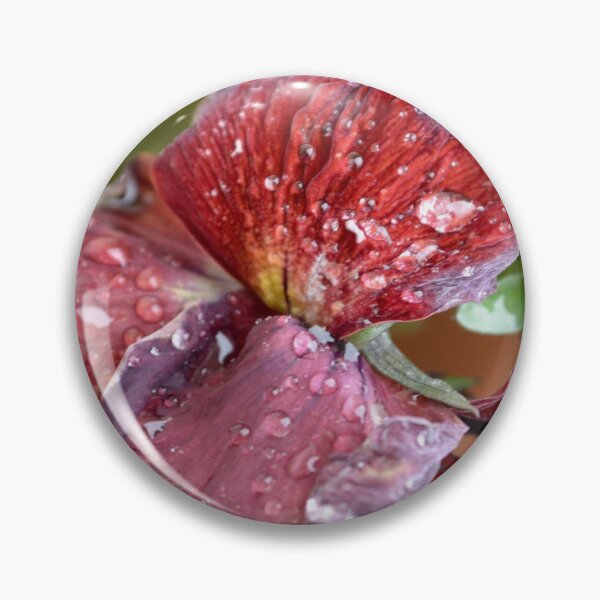 Item preview, red pansy designed and sold by jstxrm.