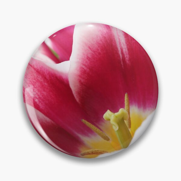Item preview, Tulipa  'Ballade'  AGM  Tulip  Lily-flowered Group  April designed and sold by Chris Burrows.