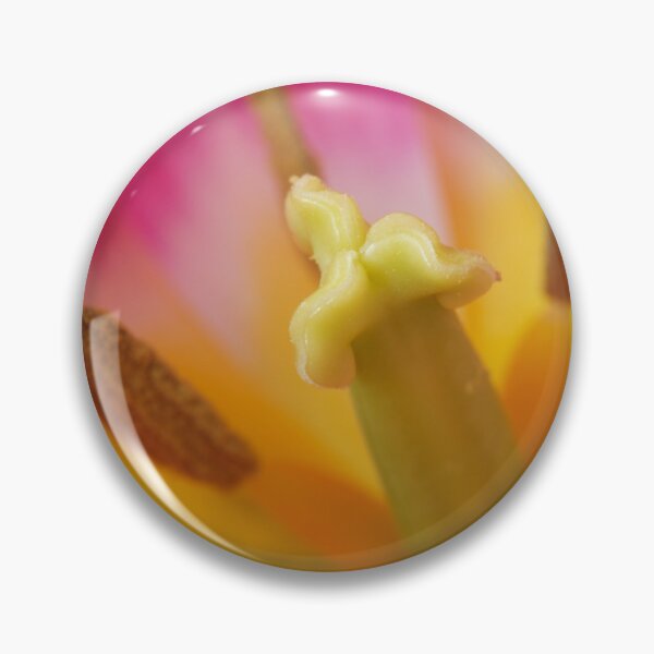 Item preview, Tulipa 'Ballade' AGM Tulip Lily-flowered Group April designed and sold by Chris Burrows.