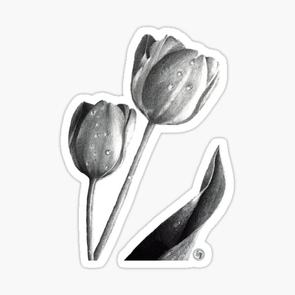 Tulips Drawing Sticker