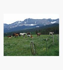 BLACKFOOT HORSE BAND - NEAR BROWNING, MT Photographic Print