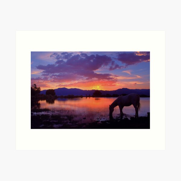 Live The Dream Art Print