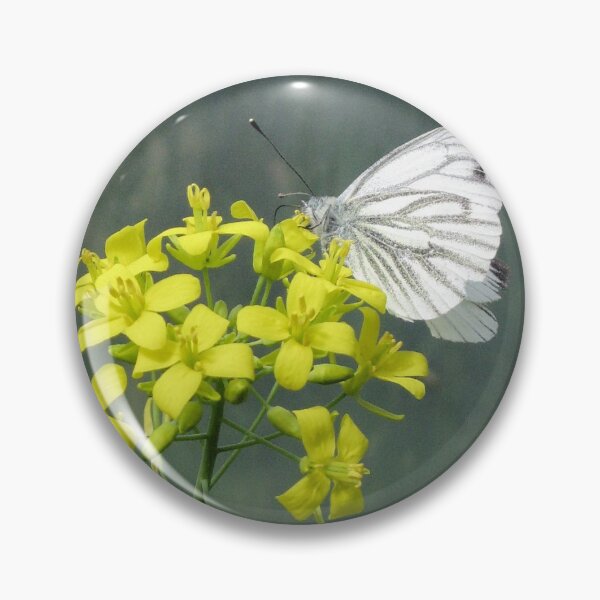 Item preview, Cabbage White Butterfly on Brassica Flower designed and sold by WesternExposure.