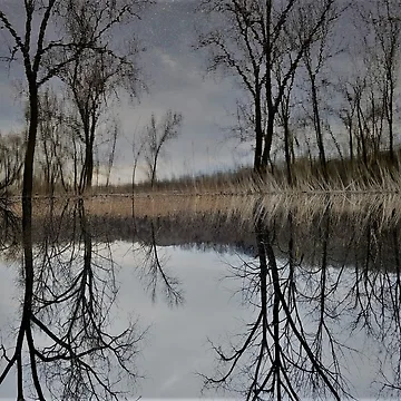 Artwork thumbnail, Inversion by Craylend