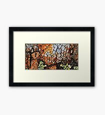 coloured by nature Framed Print