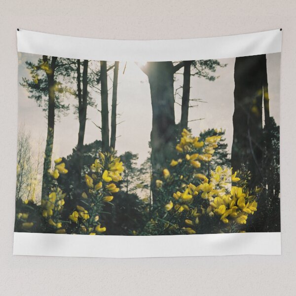 Item preview, Yellow Flowers and Trees (Kodak Porta 400) designed and sold by Ben Murray.
