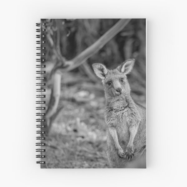 Item preview, An unstable kangaroo designed and sold by Luke Foster.