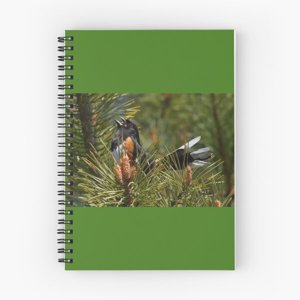 Item preview, Pining Eastern Towhee designed and sold by TCW Studios.