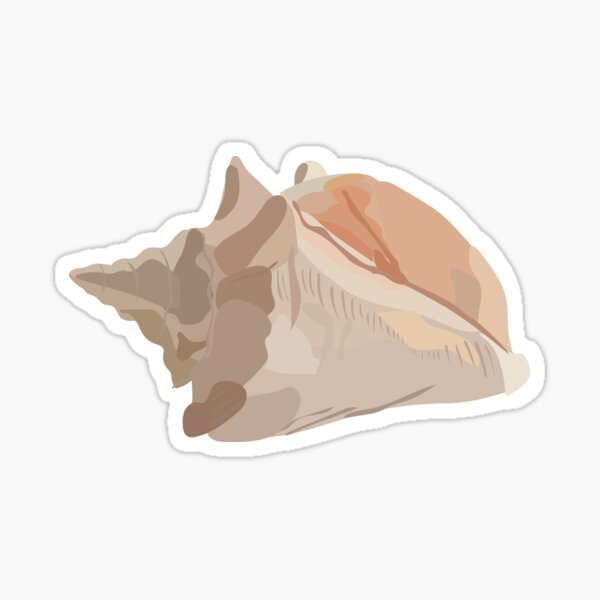 Shell Sticker