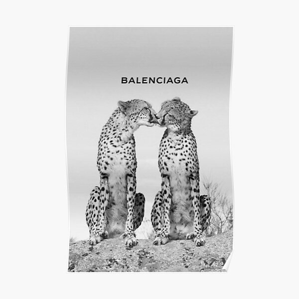 IN THE WILD Poster