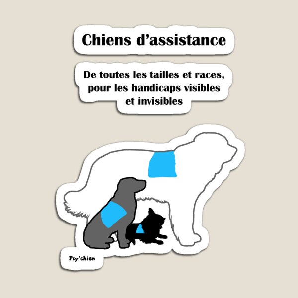 Trois Chiens Psy'chien Magnet