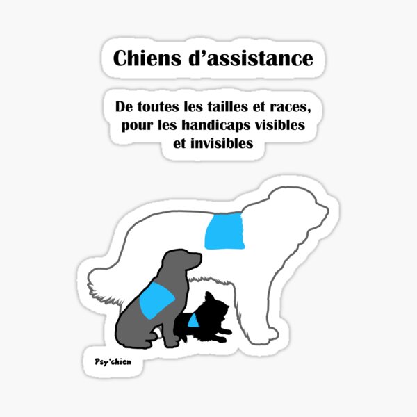 Trois Chiens Psy'chien Sticker
