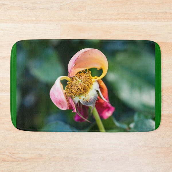 Item preview, Spent designed and sold by Thaddeus Zajdowicz.