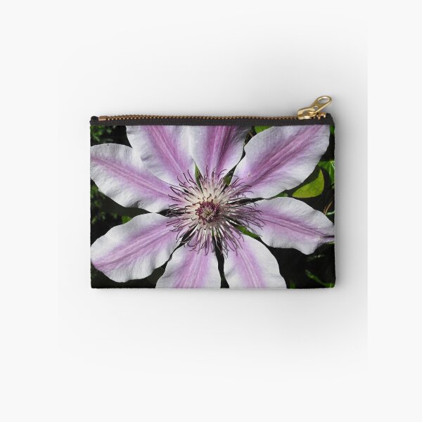Item preview, Clematis Nellie Moser designed and sold by taiche.