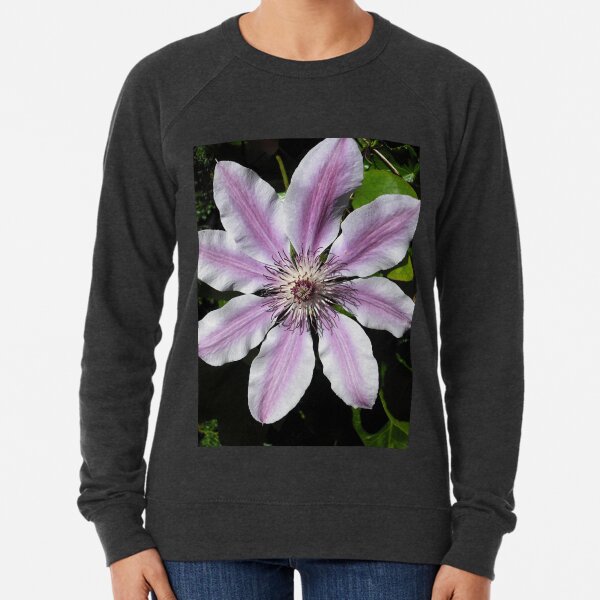 Clematis Nellie Moser Lightweight Sweatshirt