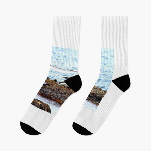 Item preview, Seals On Rocky Shores designed and sold by Totallyalive.