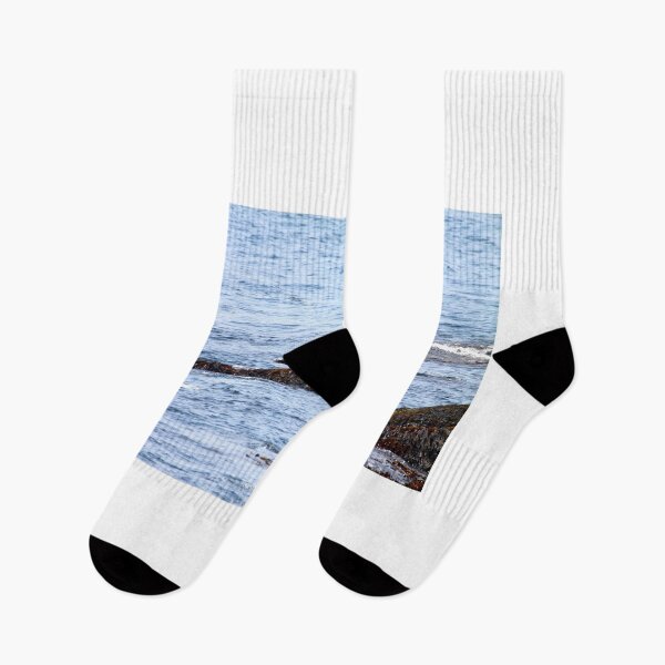 Item preview, Seals On Rocky Shores designed and sold by Totallyalive.