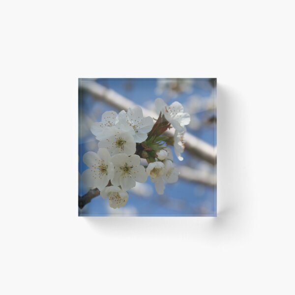 Item preview, Beautiful Delicate Cherry Blossom Flowers designed and sold by taiche.