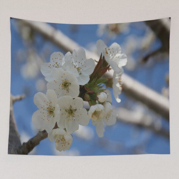 Item preview, Beautiful Delicate Cherry Blossom Flowers designed and sold by taiche.