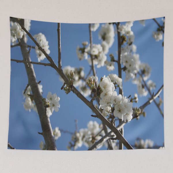 Item preview, Cherry Blossom Branches Against Blue Sky designed and sold by taiche.