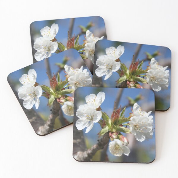 Item preview, Cherry Blossom In Spring Sunlight designed and sold by taiche.