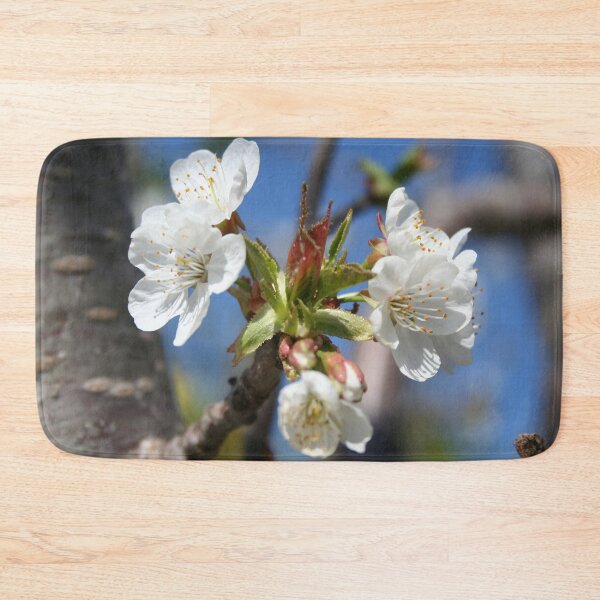Item preview, Cherry Blossom In Spring Sunlight designed and sold by taiche.