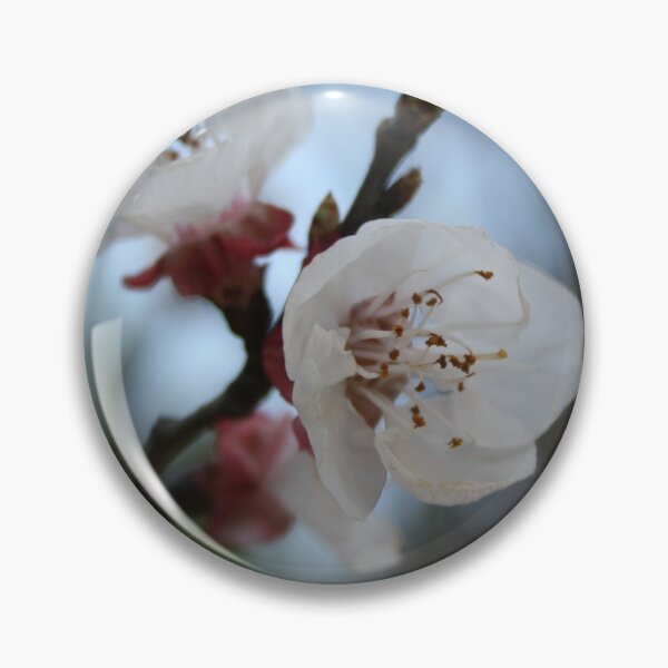 Item preview, Close Up Apricot Blossom In Pastel Shades designed and sold by taiche.