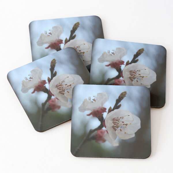Item preview, Close Up Apricot Blossom In Pastel Shades designed and sold by taiche.