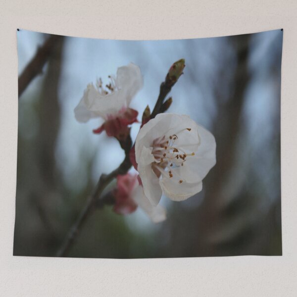 Item preview, Close Up Apricot Blossom In Pastel Shades designed and sold by taiche.
