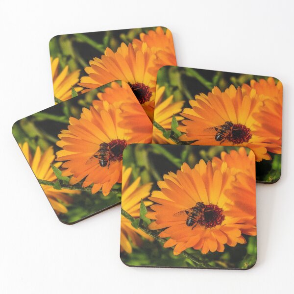 Item preview, Hover fly resting designed and sold by samanthagarrett.