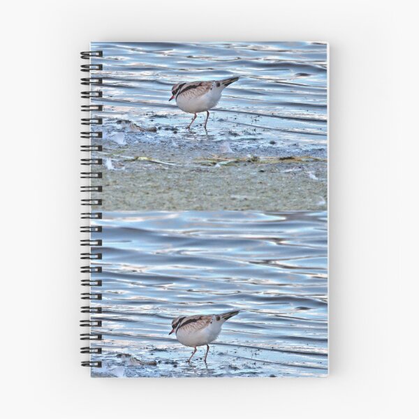 Item preview, Looking for lunch designed and sold by KimHSinclair.