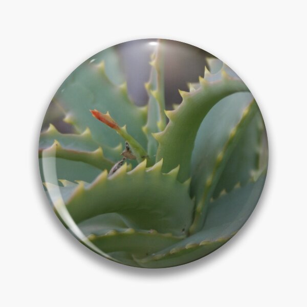 Item preview, Aloe Vera Leaves Close Up Photograph designed and sold by taiche.