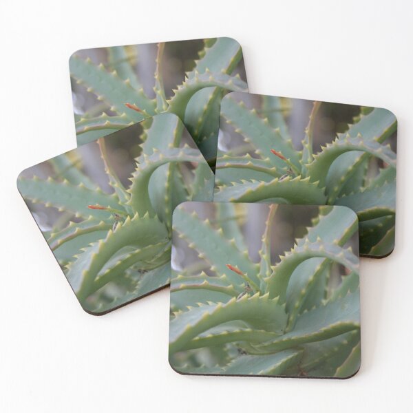 Item preview, Aloe Vera Leaves Close Up Photograph designed and sold by taiche.