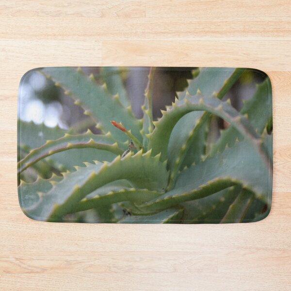 Item preview, Aloe Vera Leaves Close Up Photograph designed and sold by taiche.