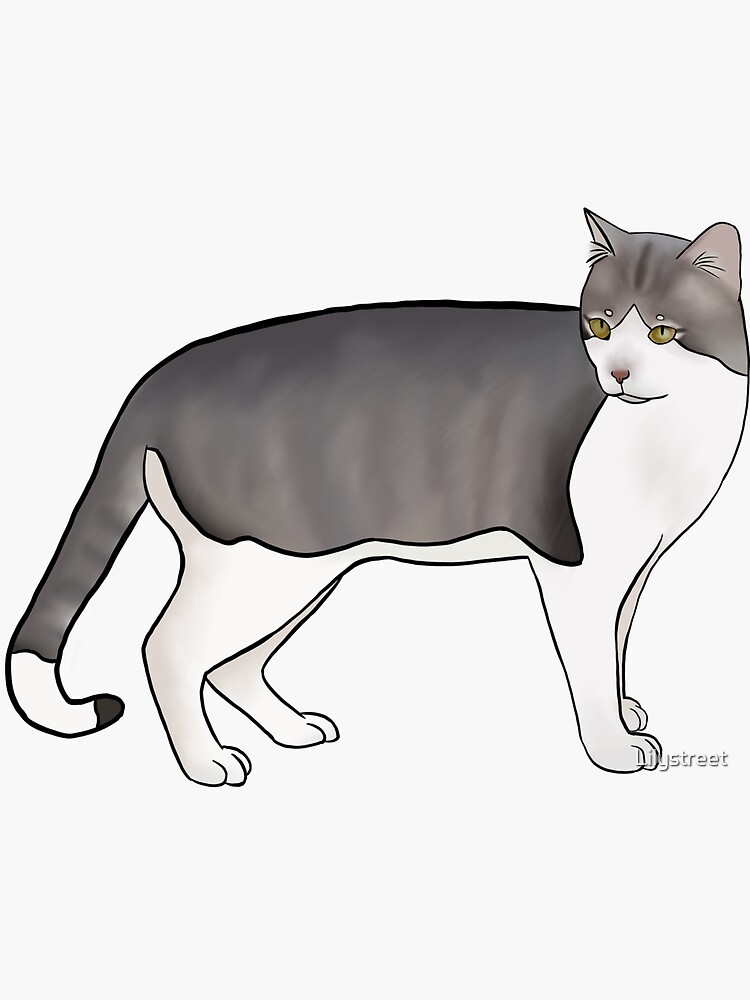 "Grey And White Cat" Sticker by Lilystreet Redbubble