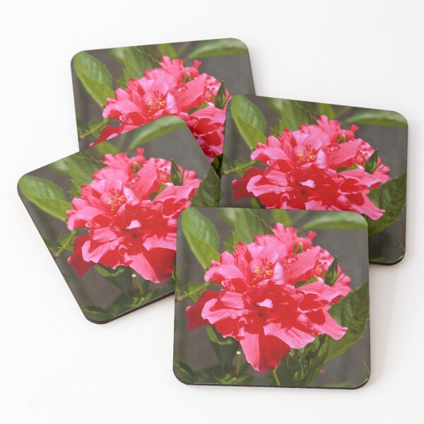 Item preview, Hibiscus flower designed and sold by zumi.