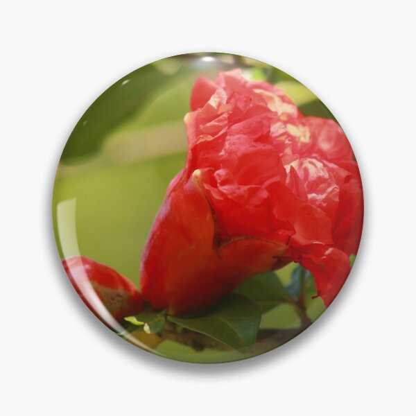 Item preview, Pomegranate flower  designed and sold by zumi.