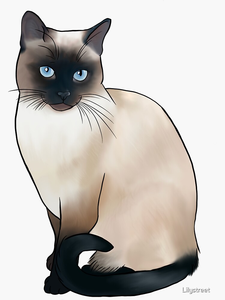 siamese cat accessories