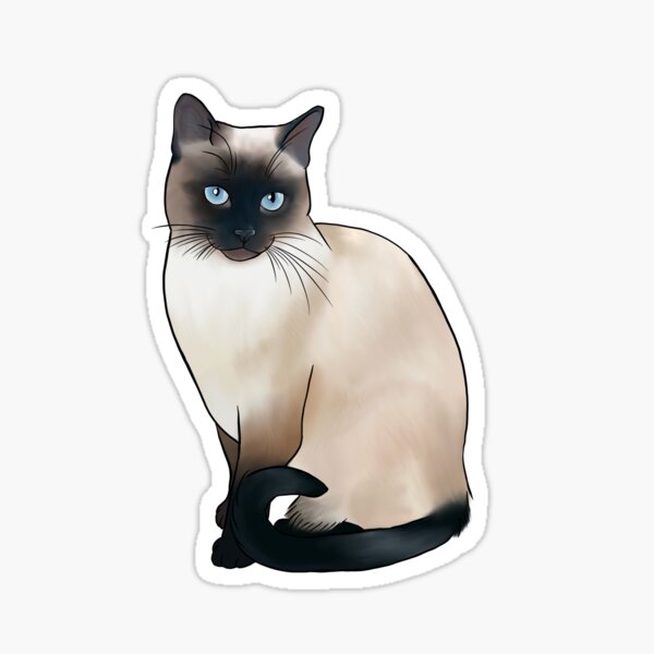 Siamese Gifts Merchandise Redbubble