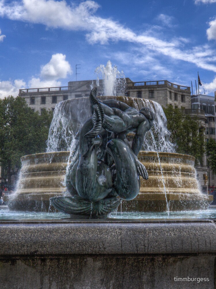 Trafalgar Square fountain by timmburgess