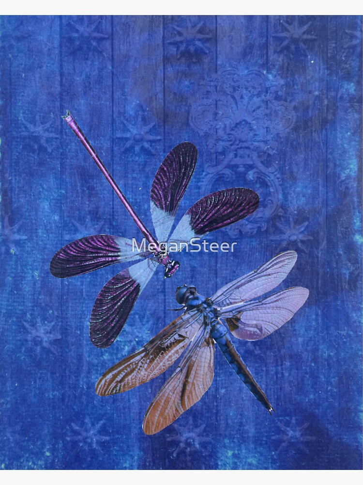 Indigo Dragonflies by MeganSteer