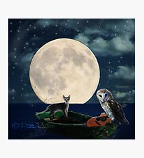 Owl and the Pussycat Photographic Print