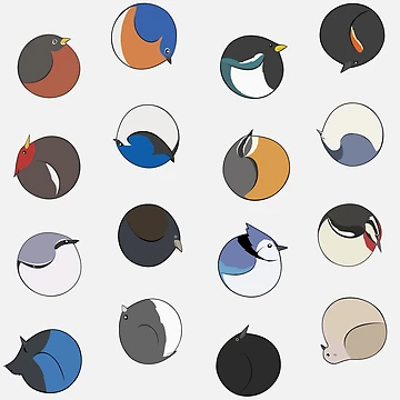 Artwork thumbnail, So Many Round Birds by conscript
