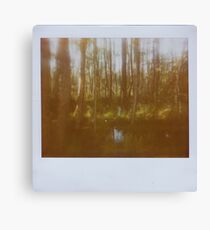 hidden places Canvas Print