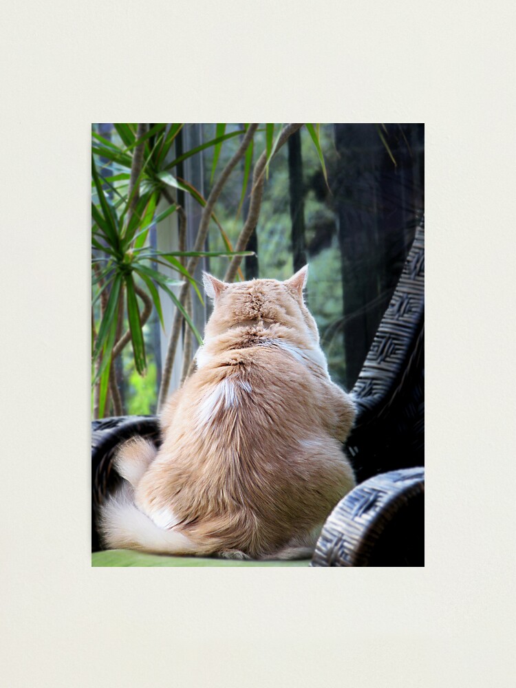 Alternate view of Rainy Day Blues Photographic Print